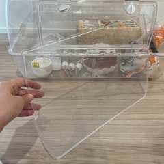 ルーミー ハムスター ケージ セット ハムスターゲージ　三晃商会　ルーミィ６０　ベーシック（６２×４５×３１．５ｃｍ）　ハムスター　マウス　ケージ　おまとめ出品 の画像
