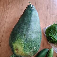 お野菜５点の画像