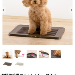 リッチェル　トイレ　犬　シーツセット　猫の画像