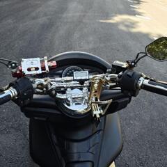 格安ホンダPCX150改の画像