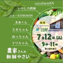 自然派農家の新鮮野菜の朝市です