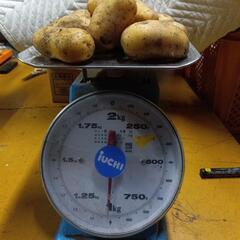 【メークイン】じゃがいも🥔の画像