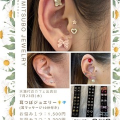 耳つぼジュエリー👂ボディジュエリー💎