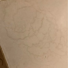 【７月末に処分予定】靴収納の画像