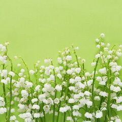 心のケア自助会スズラン（グループセッション）◆初回お試し参加50％OFFの画像
