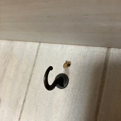 ウォールシェルフの画像