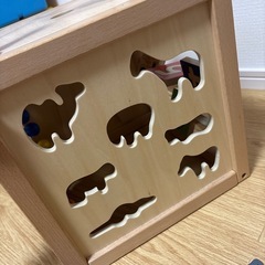 エドインター　森のあそび箱の画像