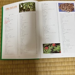 沖縄薬草百科の画像