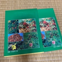 沖縄薬草百科の画像