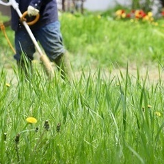 草刈り、処分、除草剤