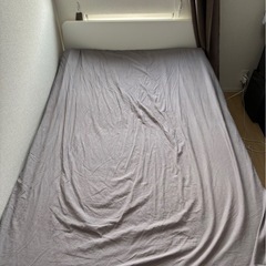 セミダブルベット