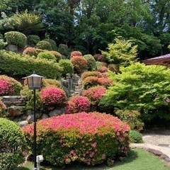 お庭のお困り事お見積り無料です🌳