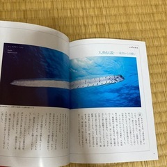深海の不思議な生き物の画像