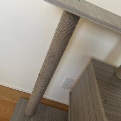 キャットタワーの画像