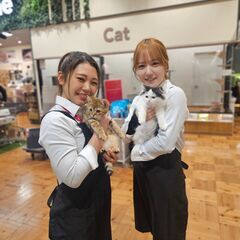 「ペットショップワンラブ」埼玉寄居店（新店） トリマースタッフ募集中の画像
