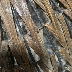 照明器具の画像