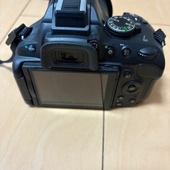 一眼レフ
Nikon D5100の画像