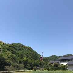 【土日のみできます】草刈り、整理等、お手伝いさせてください
