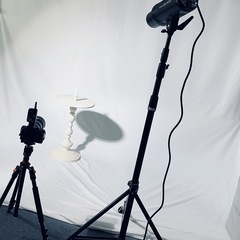 ハンドモデル 手 写真 動画 撮影 化粧品 ジュエリー ネ…