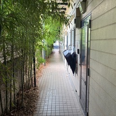 剪定、草刈り