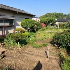お庭をさっぱりしたい方必見‼️