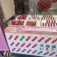 シンパパ&シンママ