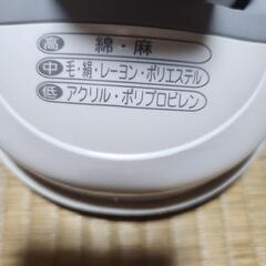 サンヨーコードレスアイロンの画像