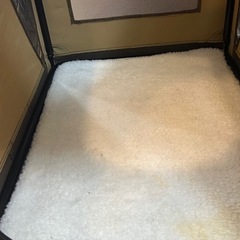 ペット用キャリーバッグの画像