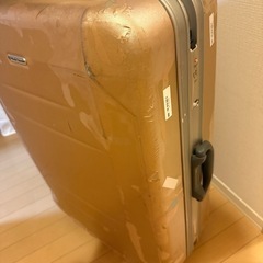 World Traveler 大容量キャリーバッグの画像
