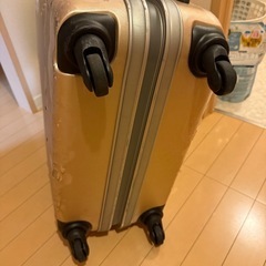 World Traveler 大容量キャリーバッグの画像