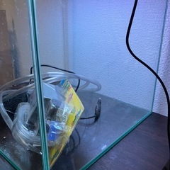 水槽セット　30cm 
の画像