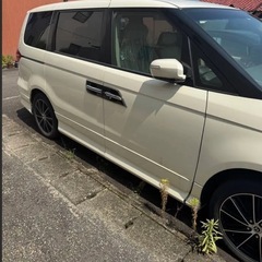 エリシオンプレステージ  SG   抹消現状の画像