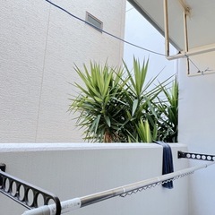 伸縮式物干し竿1.7m〜3mの画像