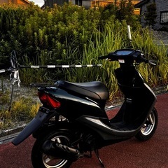 ホンダライブディオの画像