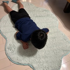 曇ラグの画像