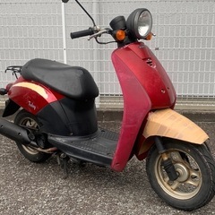 【7/17まで限定】実動確認済み・訳あり格安車両！ホンダ トゥデイ （AF61）/HONDA 原付バイク スクーター の画像