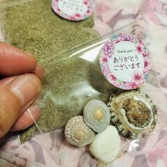 癒やし♡高波動開運☆神の海のお清め砂と開運貝殻と受け皿用お清め貝殻の画像