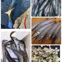 関東釣り好き 千葉県周辺 メンバー募集中🎣 - 千葉市