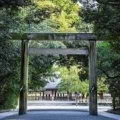 神社巡りが好きな方、一緒に行きませんか？？⛩️