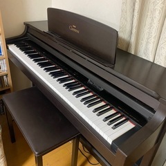 北海道 札幌市のクラビノーバの中古が安い！激安で譲ります