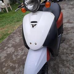 ホンダ　トゥデイ50インジェクションの画像