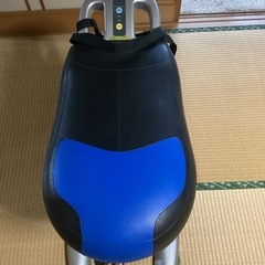 RODEO BOYⅡ （ロデオボーイ） 乗馬マシン THRIVEモデルの画像