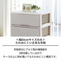 【美品】【半額中】プロフィックス ルームケース ブラウンの画像
