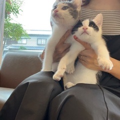 3ヶ月❤️2BOYパンダとポコくん