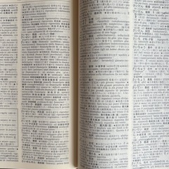 和伊中辞典の画像