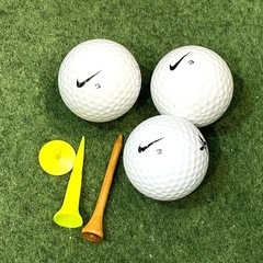 定価50万円 初心者から10年使えるナイキゴルフセットおまけつきの画像