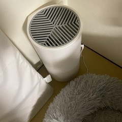 空気清浄機 今月中の画像