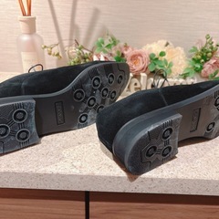 AristoPrimo a-61の画像