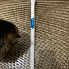 スクラビングバブル本体のみの画像