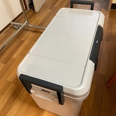 美品✨ クーラーボックス 36L 🧊 グレーの画像